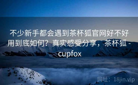 不少新手都会遇到茶杯狐官网好不好用到底如何？真实感受分享，茶杯狐 - cupfox