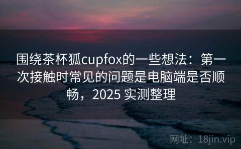 围绕茶杯狐cupfox的一些想法：第一次接触时常见的问题是电脑端是否顺畅，2025 实测整理