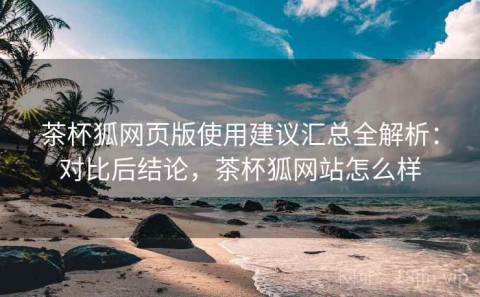 茶杯狐网页版使用建议汇总全解析：对比后结论，茶杯狐网站怎么样