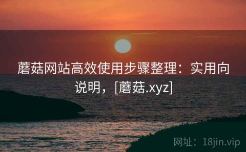 蘑菇网站高效使用步骤整理：实用向说明，[蘑菇.xyz]