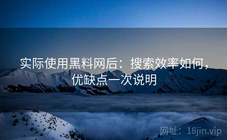 实际使用黑料网后：搜索效率如何，优缺点一次说明