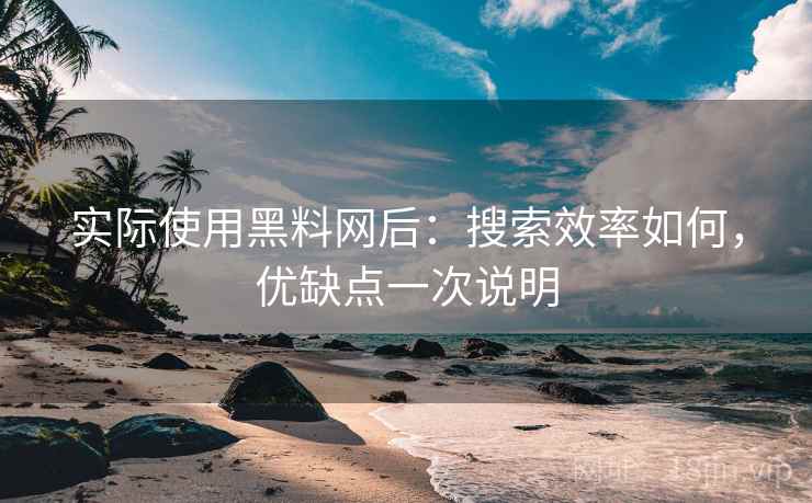 实际使用黑料网后：搜索效率如何，优缺点一次说明