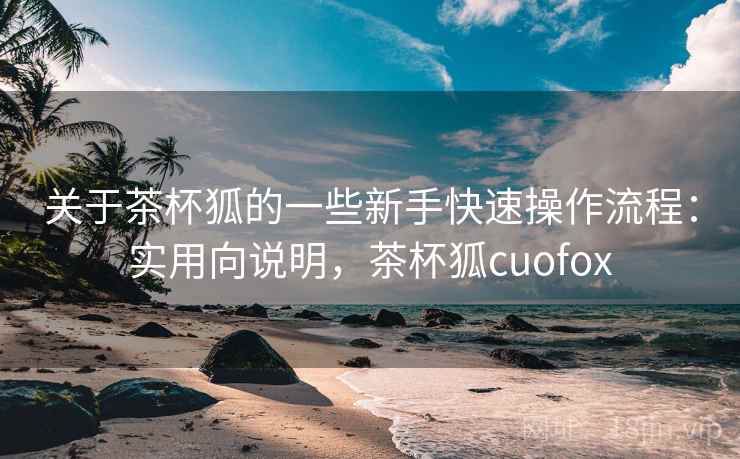 关于茶杯狐的一些新手快速操作流程：实用向说明，茶杯狐cuofox