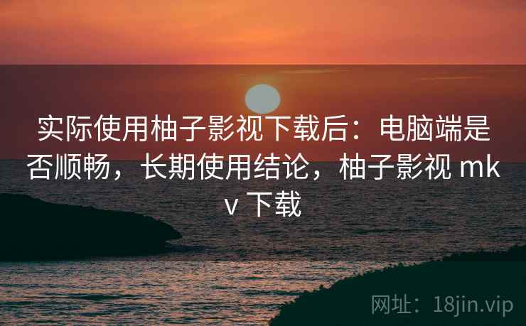 实际使用柚子影视下载后：电脑端是否顺畅，长期使用结论，柚子影视 mkv 下载
