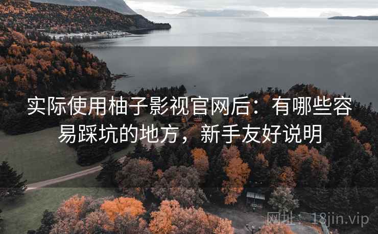 实际使用柚子影视官网后:有哪些容易踩坑的地方,新手友好说明 实际使用柚子影视官网后:有哪些容易踩坑的地方,新手友好说明